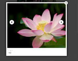 比lightbox更简洁易用的插件 
